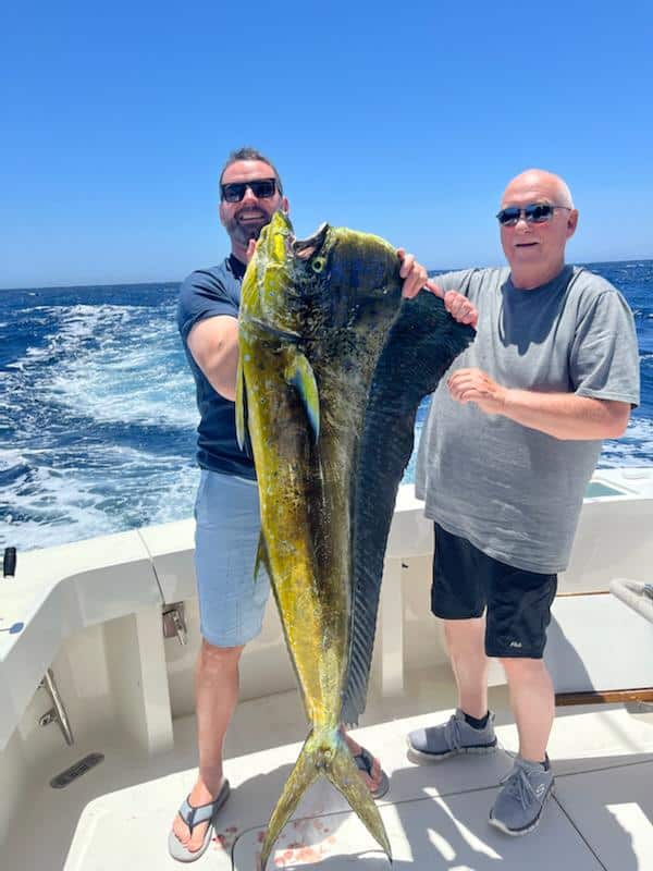 Discover 'Your Inner Angler' with our exhilarating sport fishing adventures in Cabo San Lucas. Embark on legendary charters, compete in renowned tournaments, and immerse yourself in the ultimate angler's paradise