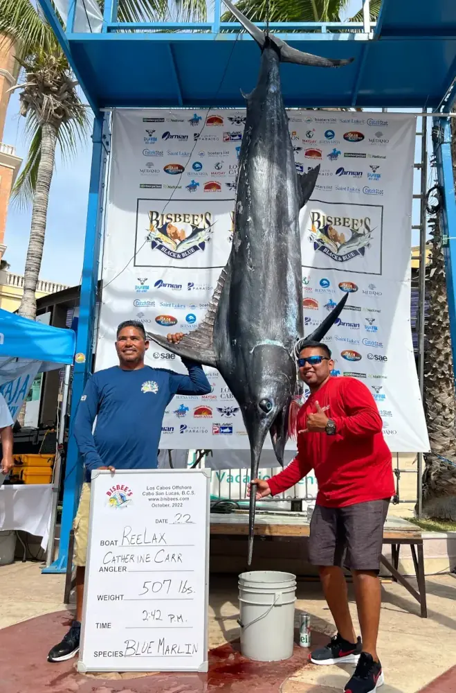 Reeling in the Excitement-Sport Fish Tournaments in Los Cabos