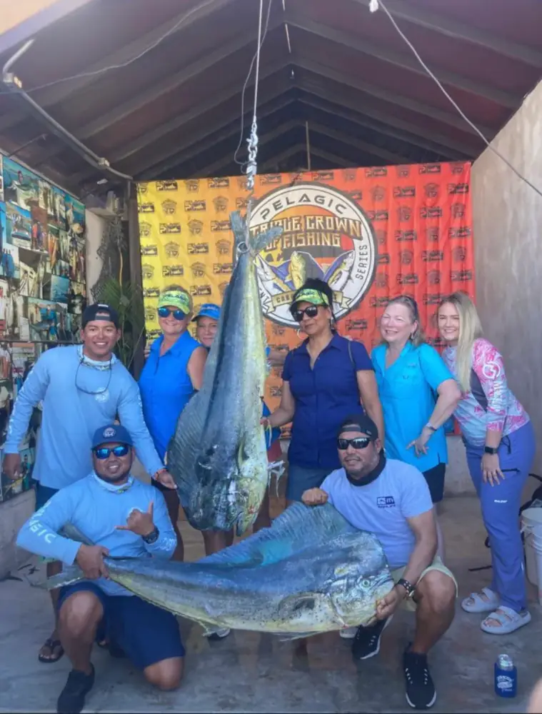 Reeling in the Excitement-Sport Fish Tournaments in Los Cabos dorado fish