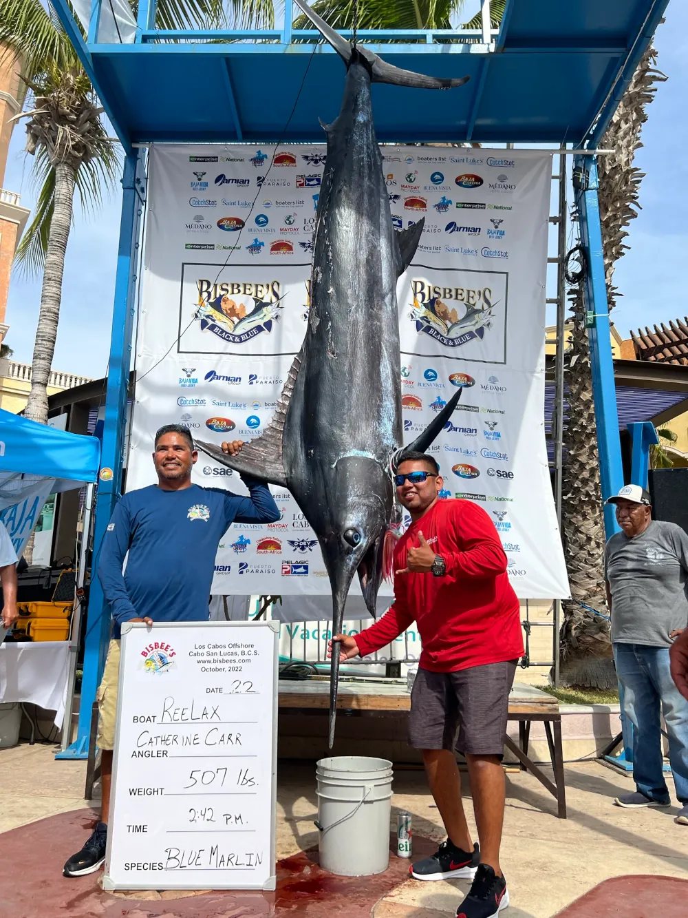 Reeling in the Excitement Sport Fish Tournaments in Los Cabos King